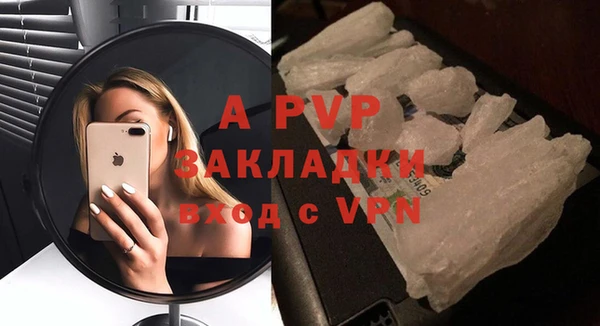 шишки Арсеньев
