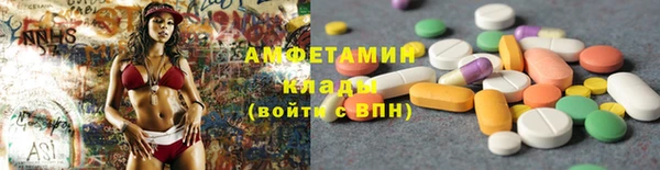 шишки Арсеньев