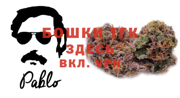 шишки Арсеньев