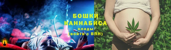 амф Аркадак