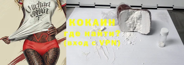 шишки Арсеньев