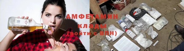 амф Аркадак
