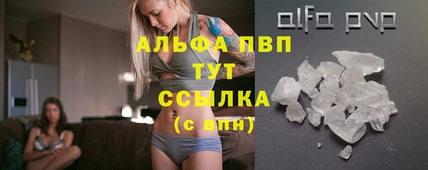 амф Аркадак