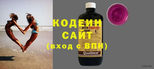 шишки Арсеньев