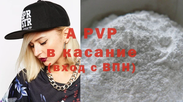 шишки Арсеньев