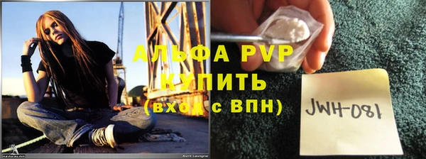 шишки Арсеньев