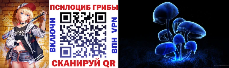 МЕГА зеркало  Дыгулыбгей  Галлюциногенные грибы Psilocybe 