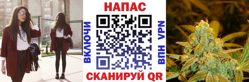 Шишки марихуана план  Дыгулыбгей 